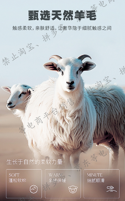 fb06d86e7204f3f97d8b152544ea670a_1784121679_1802.png